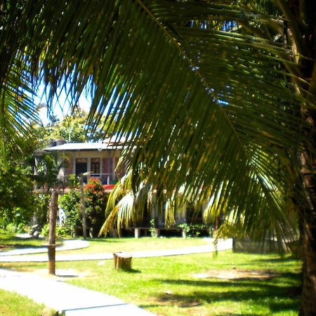 Chill Vibes Hiriketiya Hostel Dickwella Exterior photo