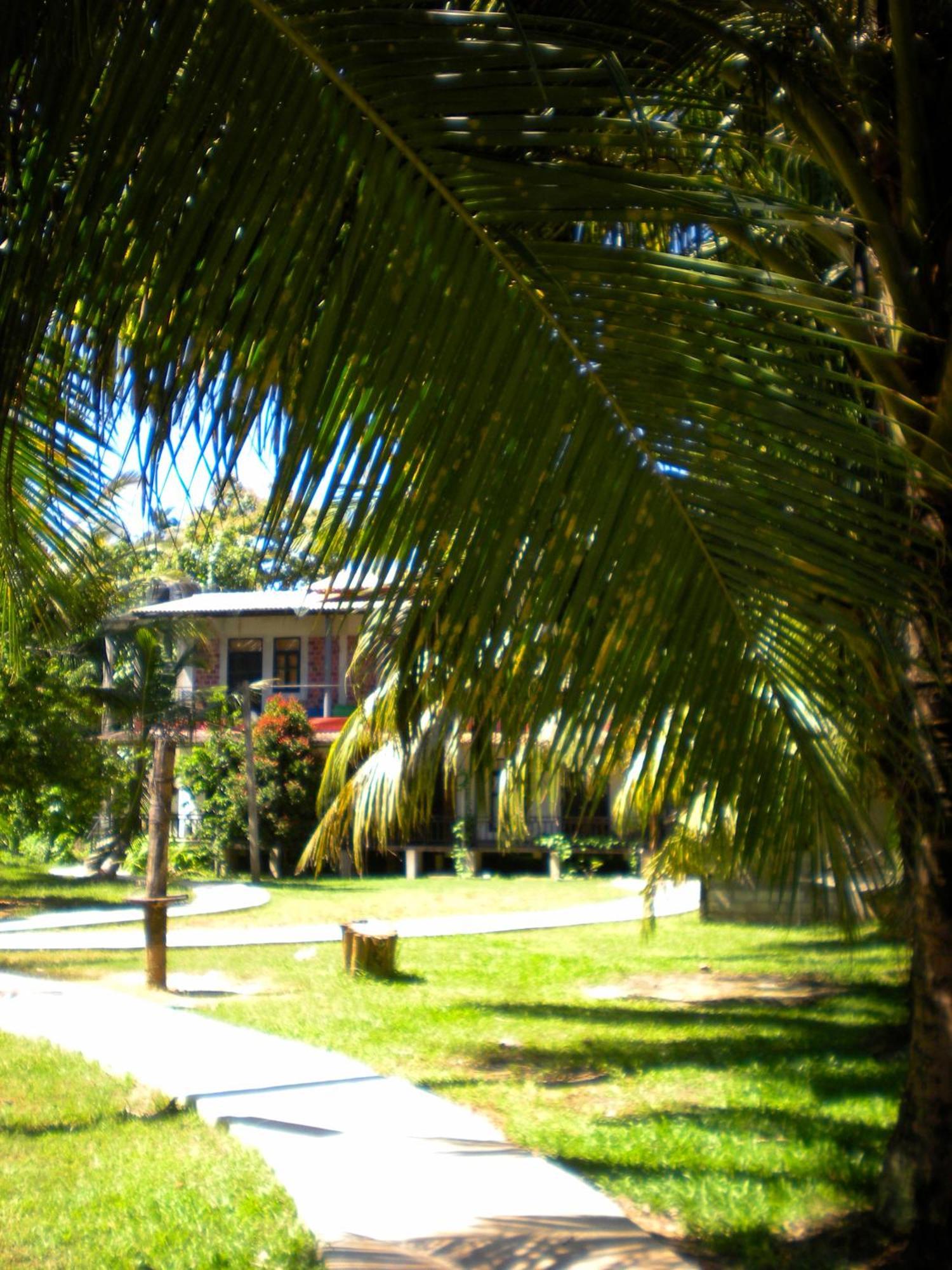 Chill Vibes Hiriketiya Hostel Dickwella Exterior photo