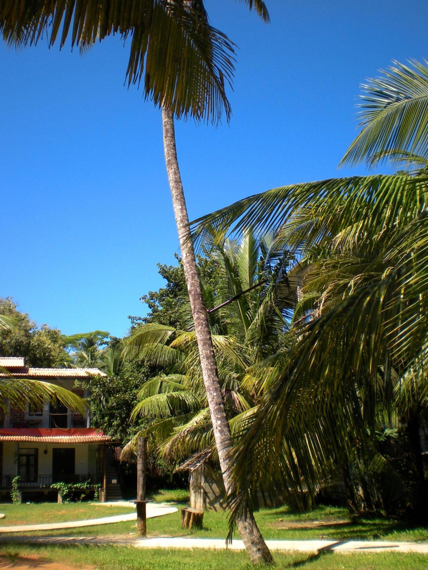Chill Vibes Hiriketiya Hostel Dickwella Exterior photo